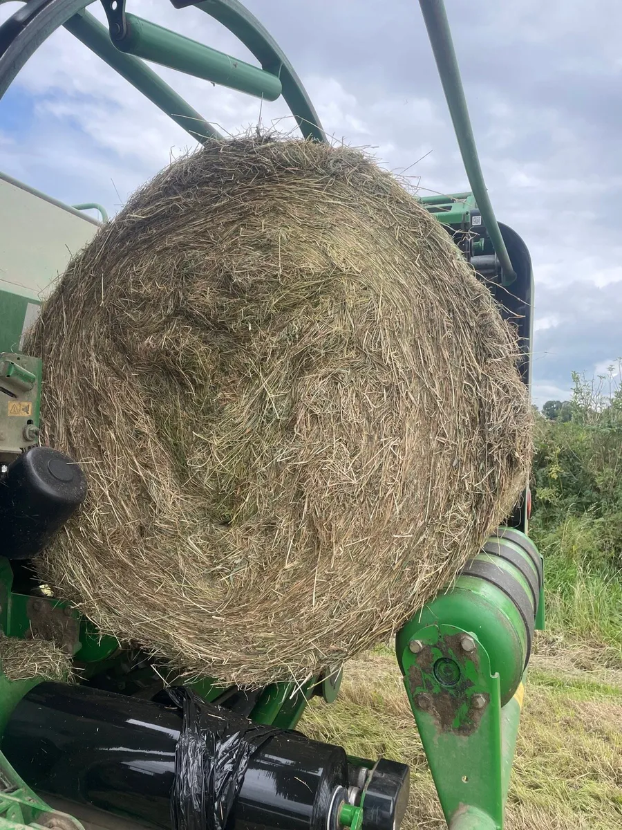 Haylage - Image 1