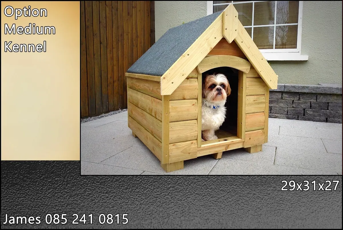 Dog Boxes Made to Order - Image 1