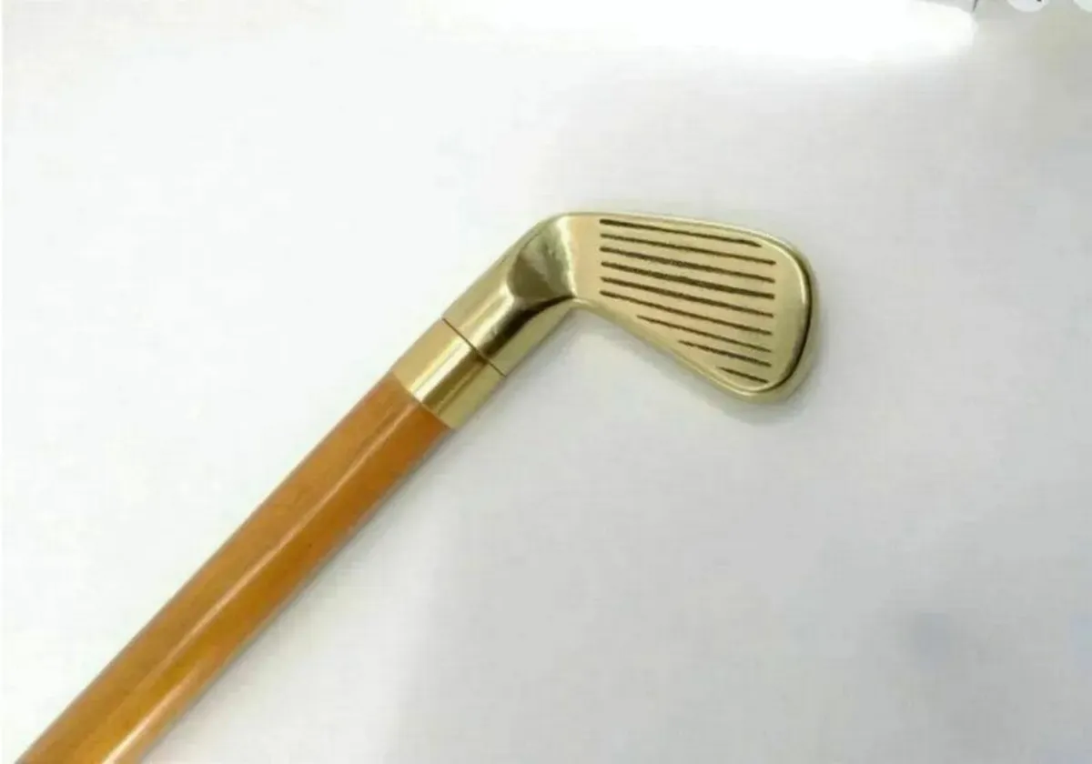 Vintage Walking/Drinking Stick - Image 4