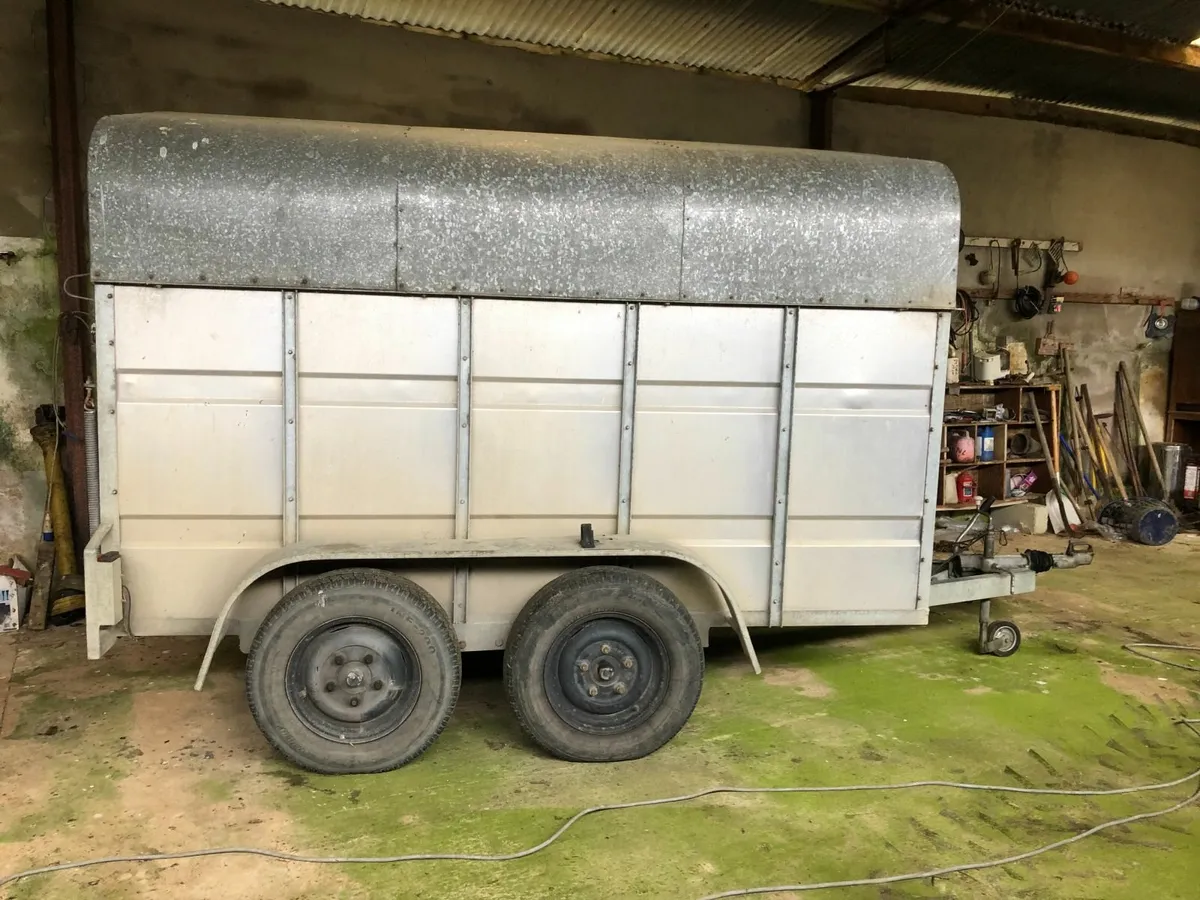Cow box / cattle trailer - 10ft x 5.5ft - Image 2