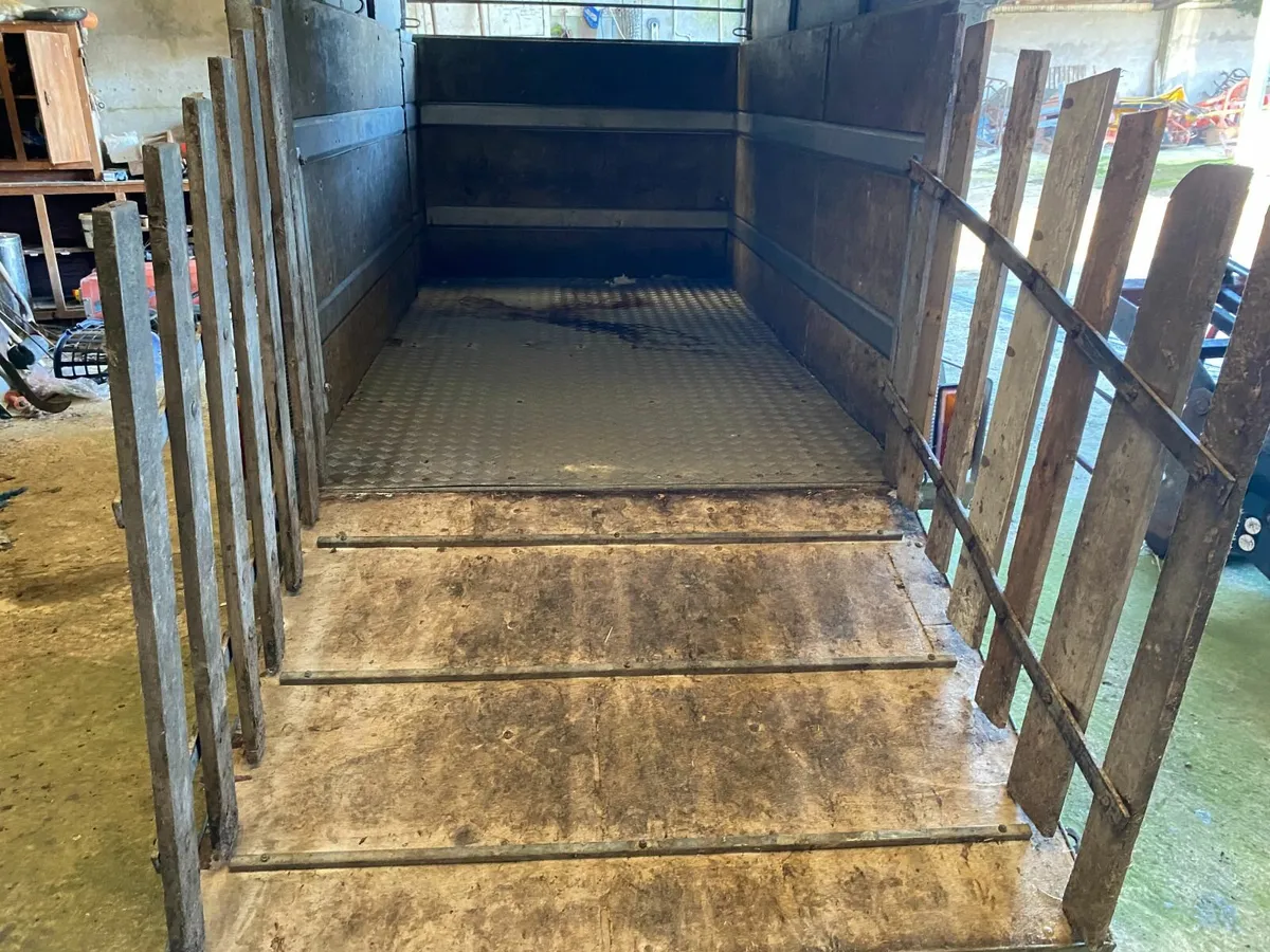 Cow box / cattle trailer - 10ft x 5.5ft - Image 3