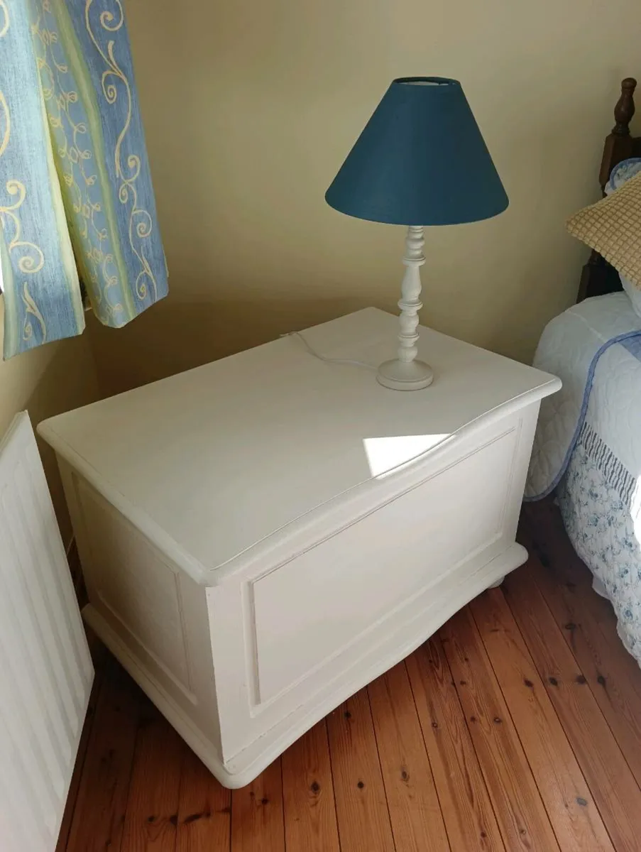 Storage box 2 lockers,2 lamps 40 collect today - Image 2