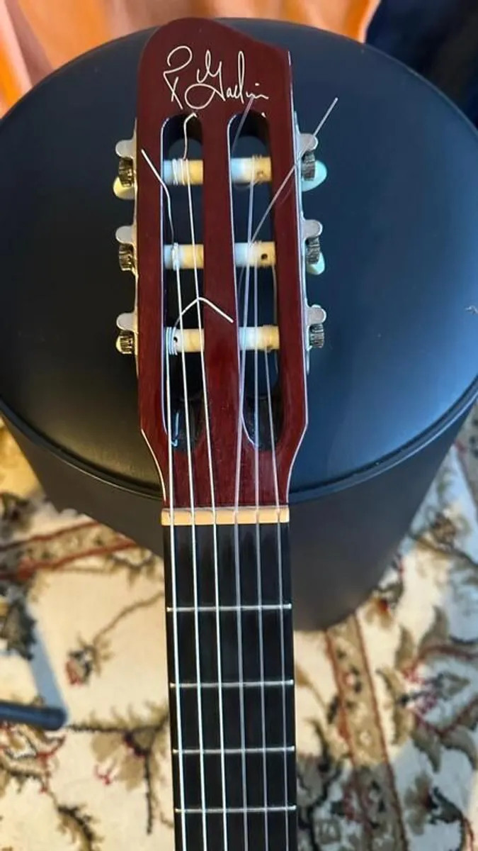 Godin Multiac Grand Concert Duet Ambiance Nylon Guitar - Image 4