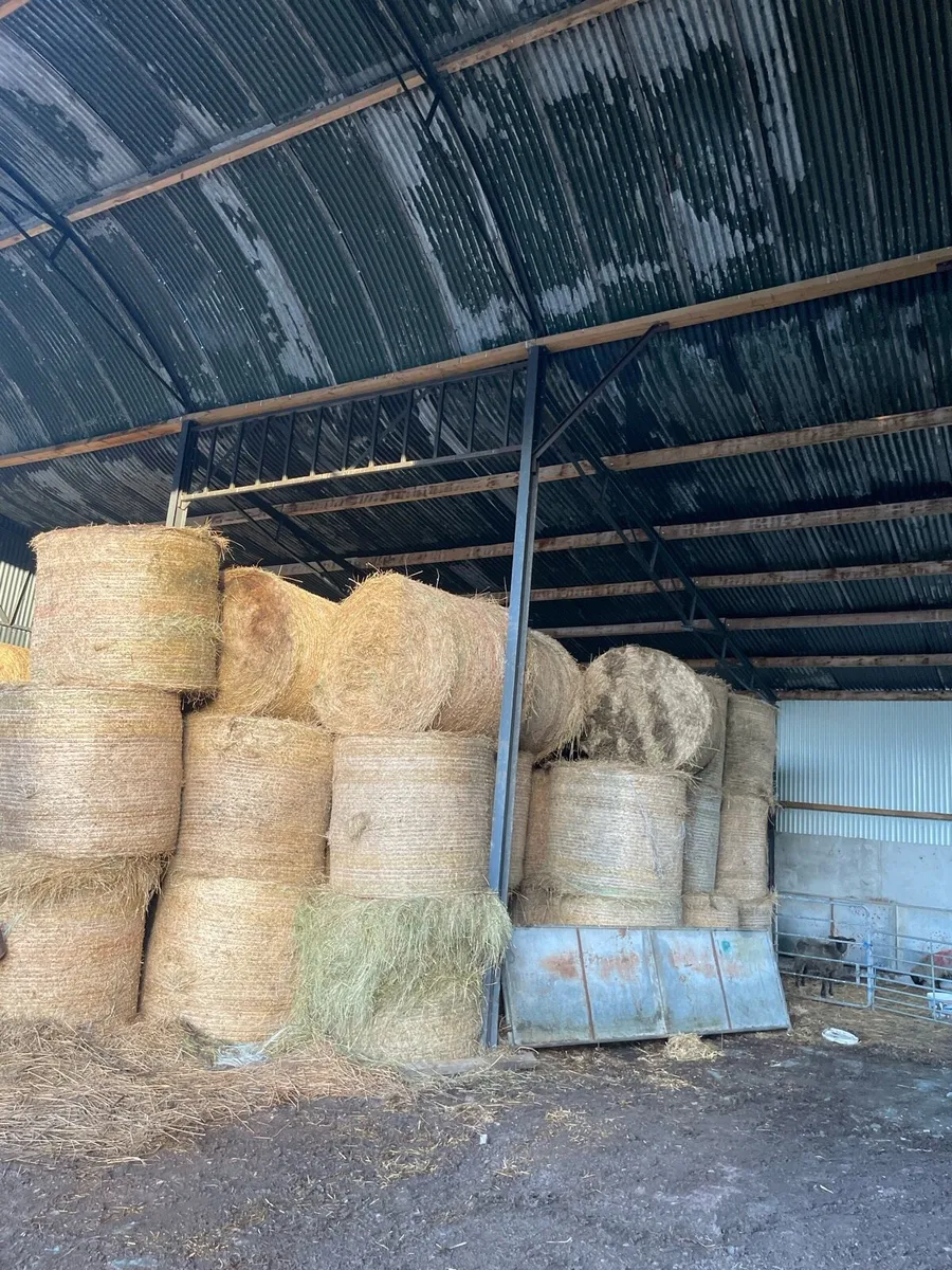 Hay for sale - Image 3
