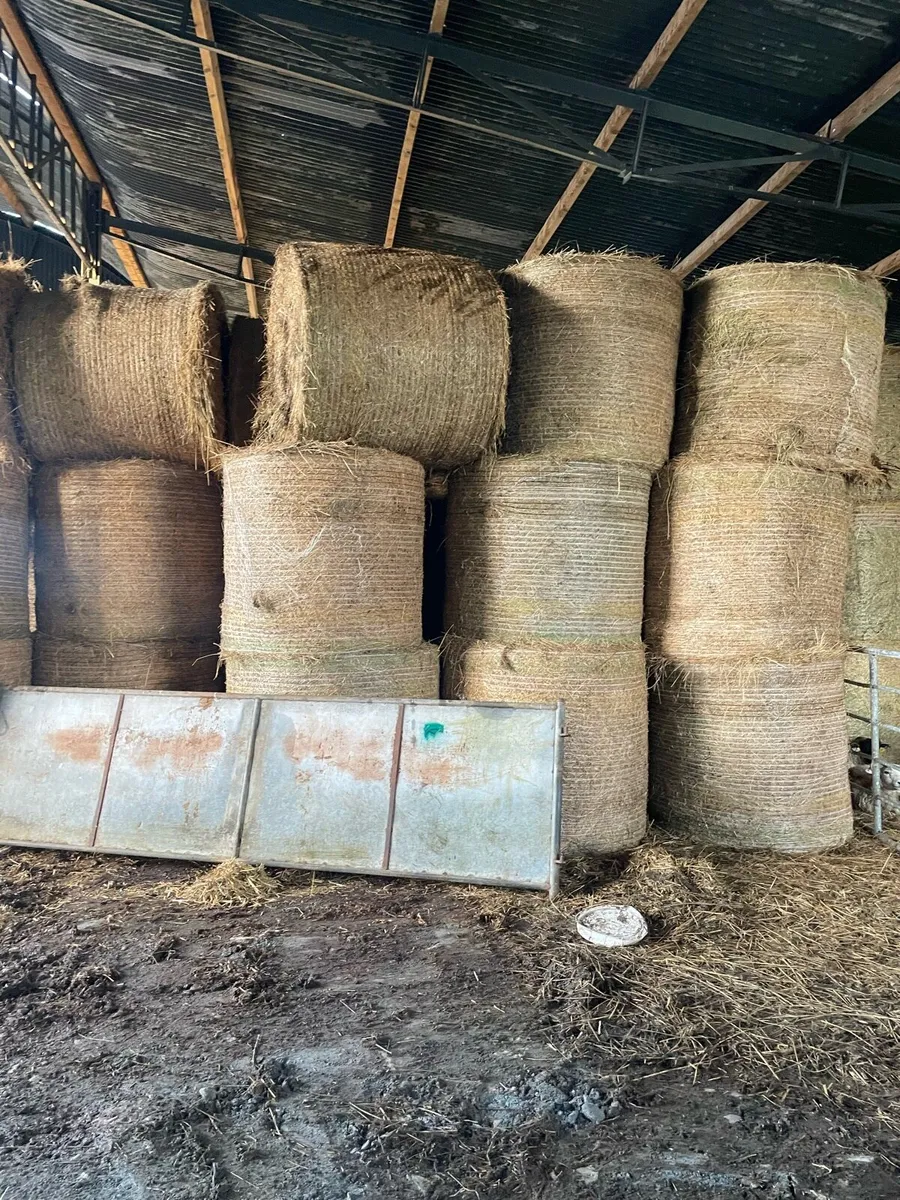 Hay for sale - Image 1