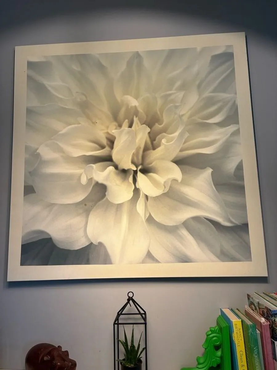 Large flower print - Image 3
