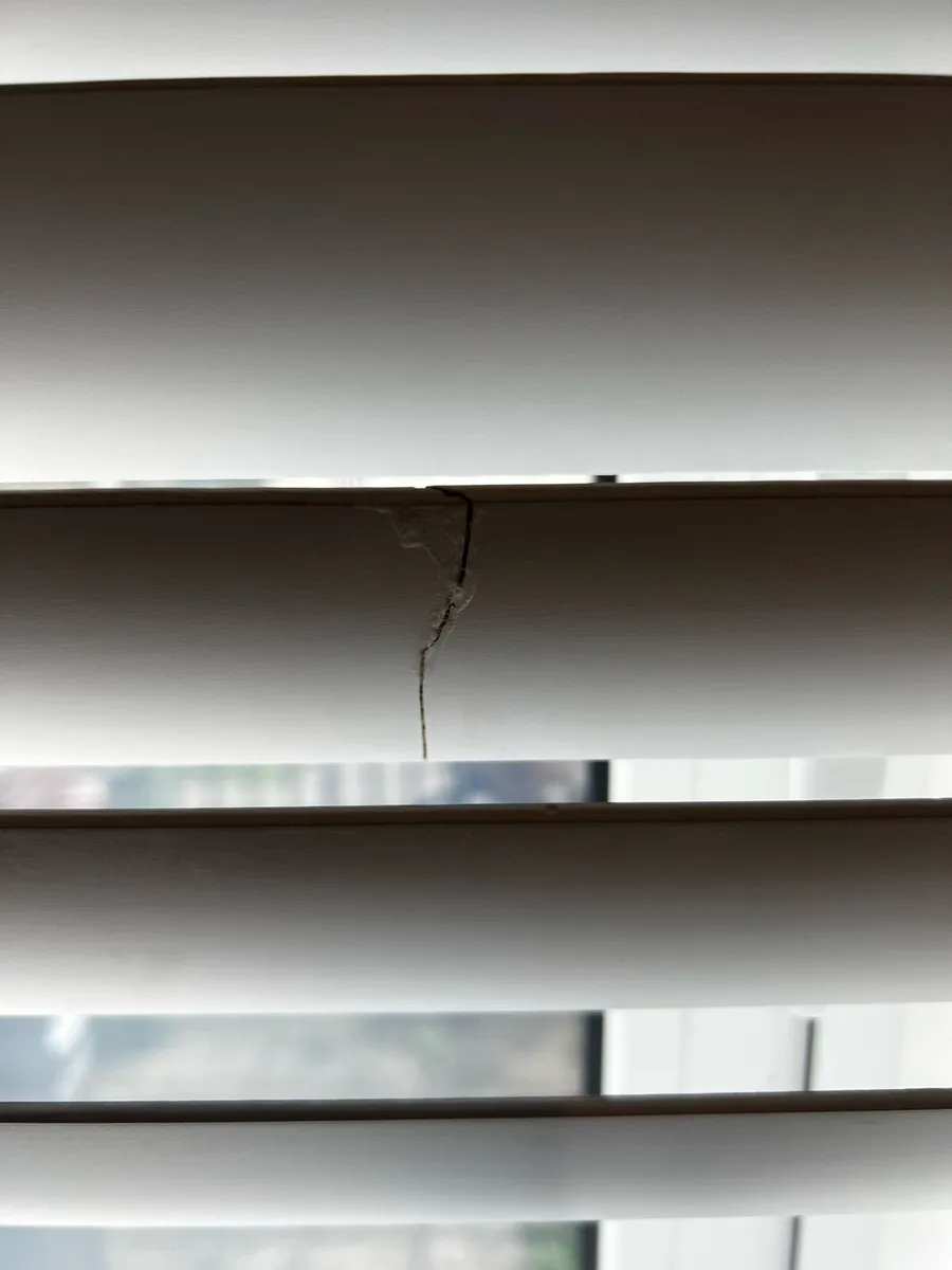 Window Blinds - Image 2