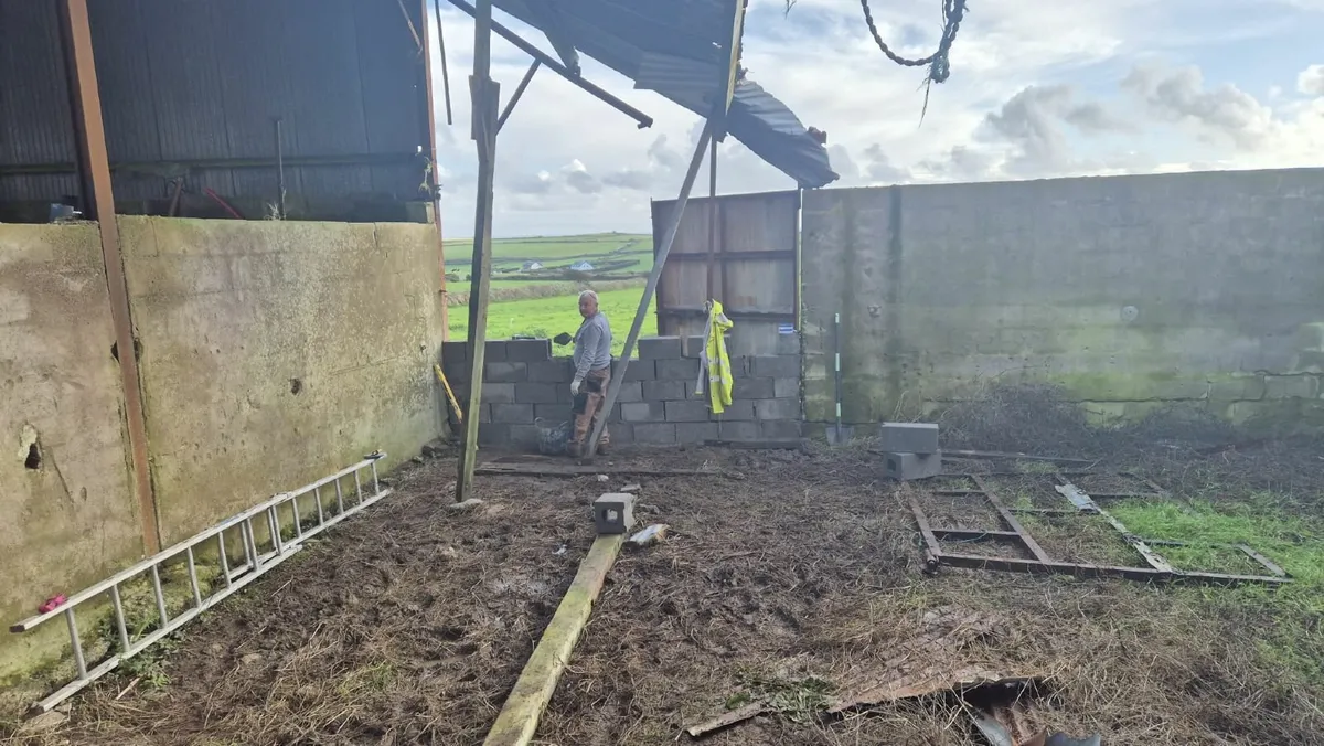 Munster Farm Shed Repairs & Painting - Image 2