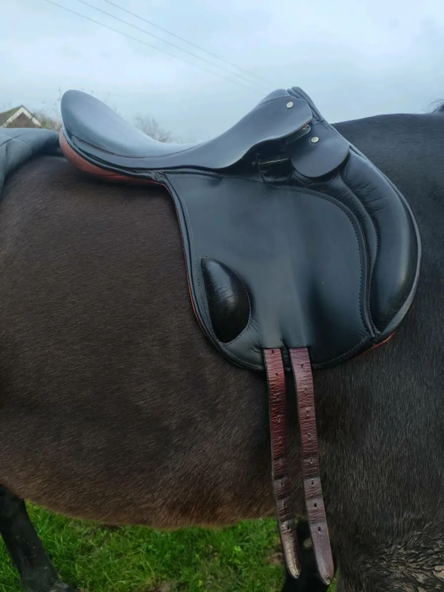 17" Barney xc saddle - Image 2