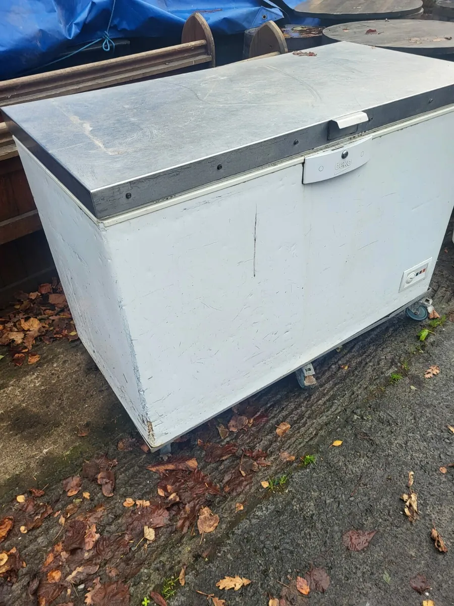 Cest freezers - Image 1