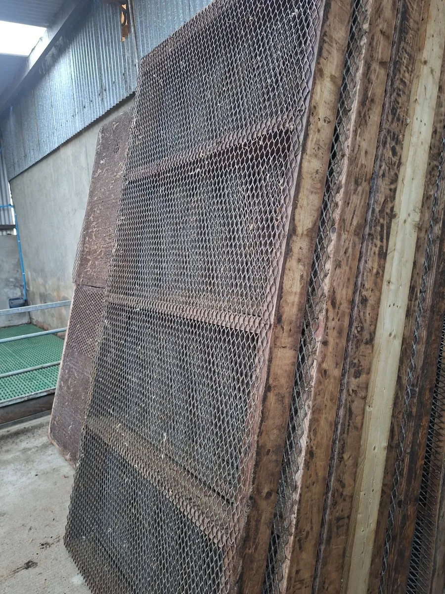 Sheep wire mesh for sale - Image 2