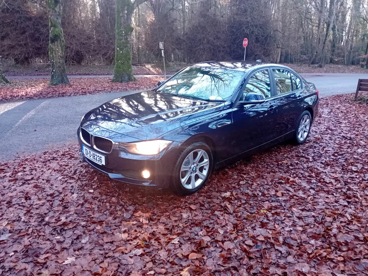 131 BMW 316D ES 6 SPEED MANUAL SALOON - Image 1
