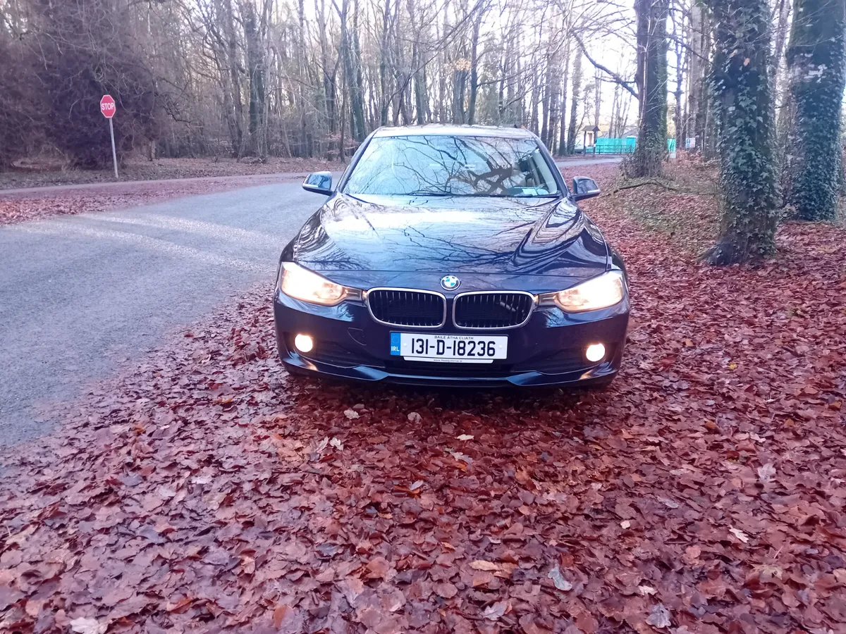 131 BMW 316D ES 6 SPEED MANUAL SALOON - Image 2
