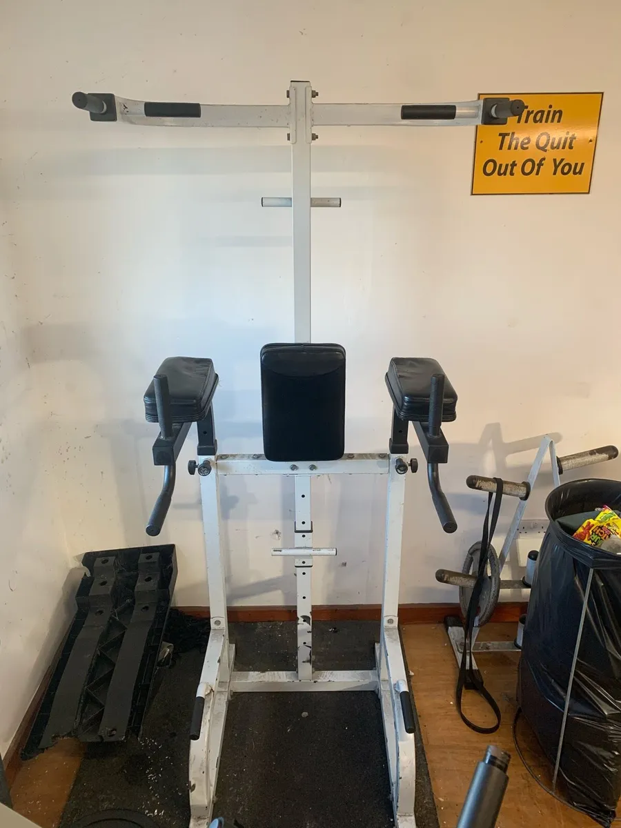 Pull up and dip station