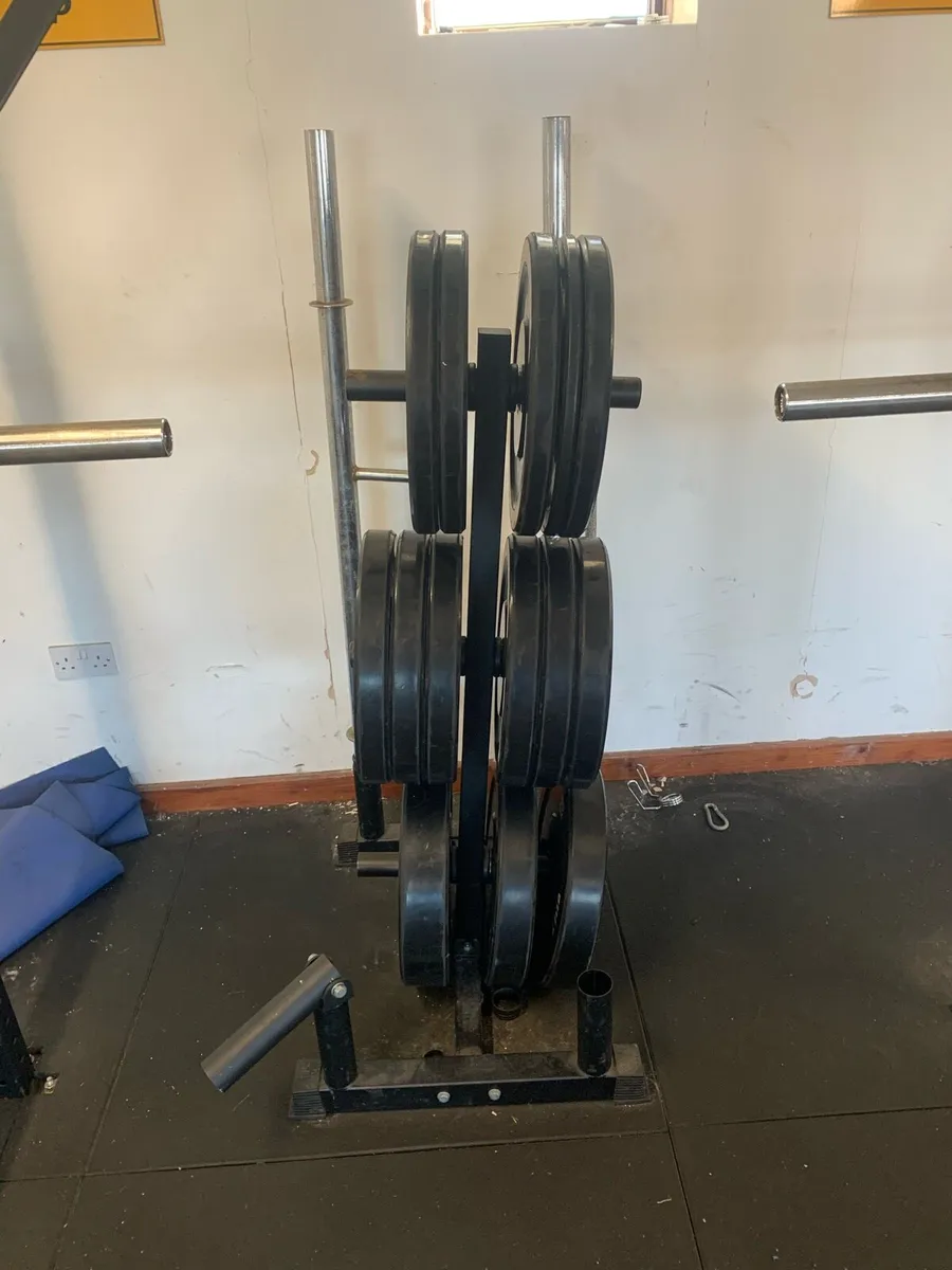 Olympic Plate Tree & Bar Holder - Image 3