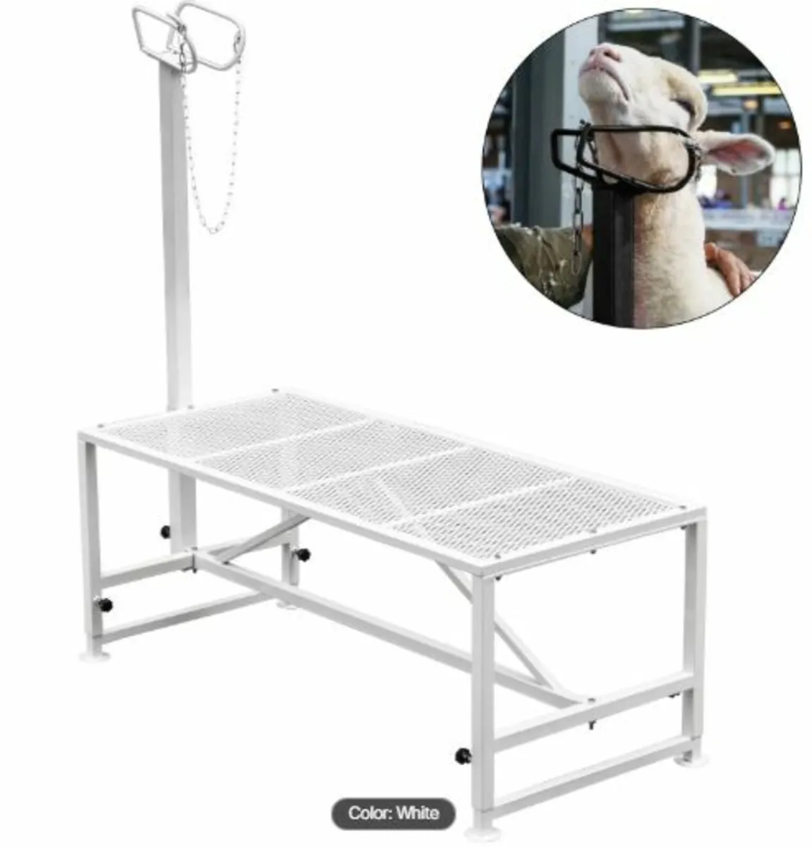 Livestock Stand 51x23 inches, Trimming Stand - Image 1