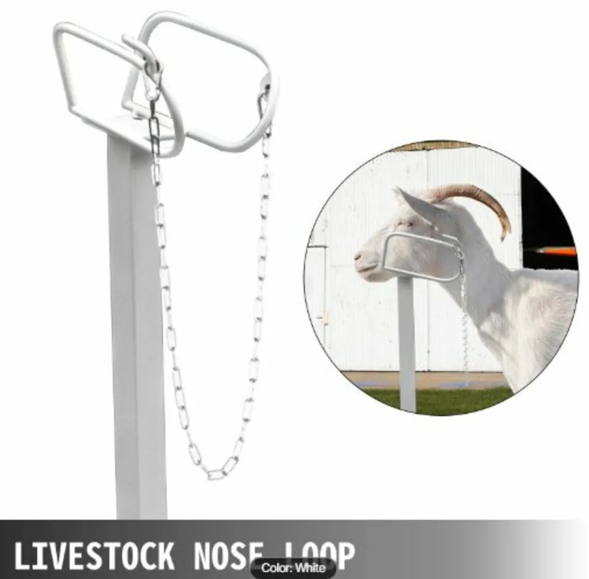 Livestock Stand 51x23 inches, Trimming Stand - Image 4