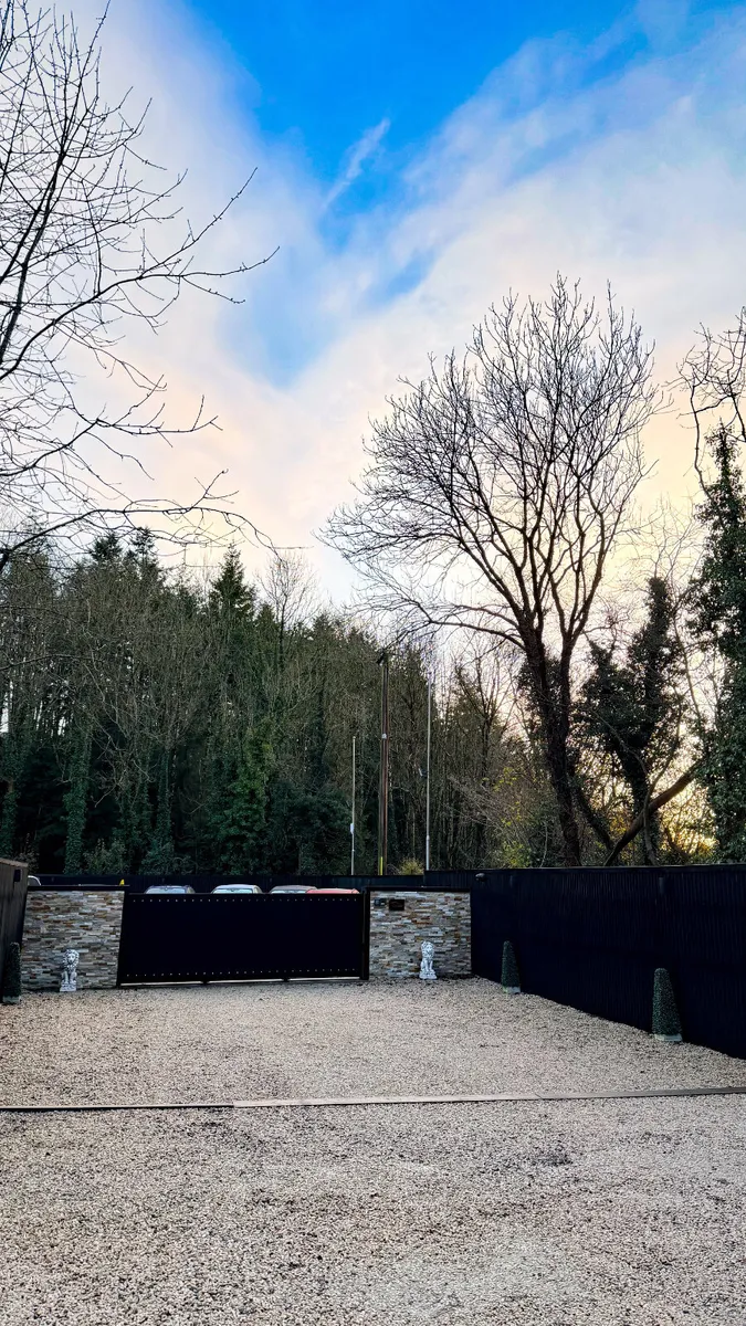 2021 (212)  BMW X5 45E MSPORT PRO EDITON 1 of 1