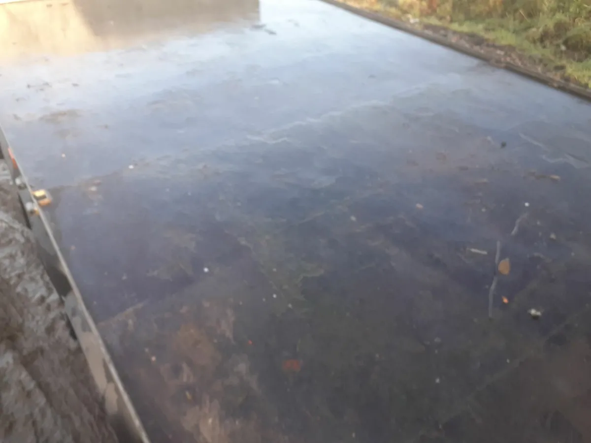 IFOR WILLIAMS 16FT TRI AXLE TRAILER - Image 3