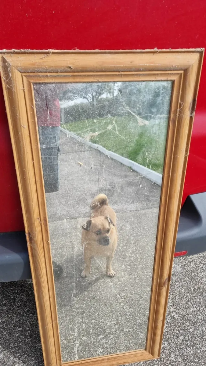 HOUSEHOLD ITEMS - Image 4