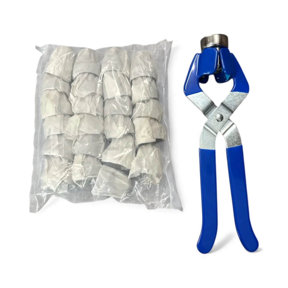 Euroliners - Image 4