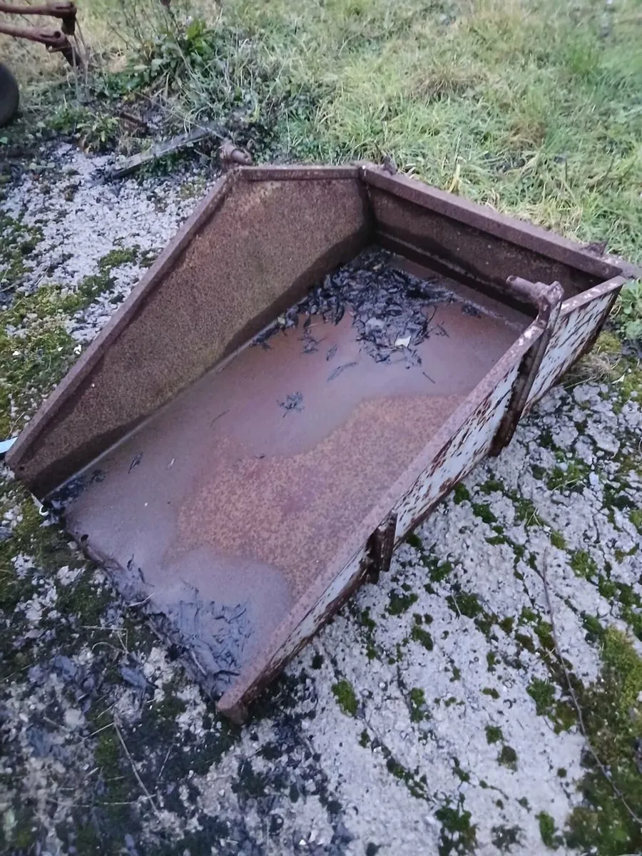 Ferguson vintage machinery - Image 2