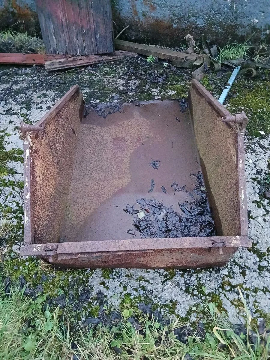 Ferguson vintage machinery - Image 3