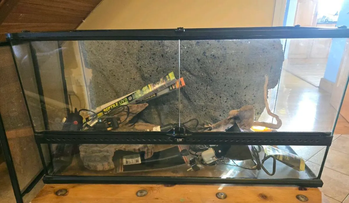 Reptile Terrarium - Image 1