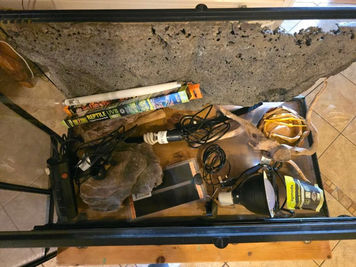 Reptile Terrarium - Image 2