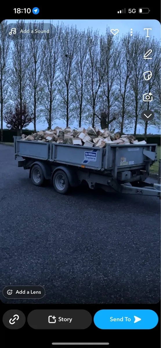 Whitethorn, ash and softwood firewood - Image 3