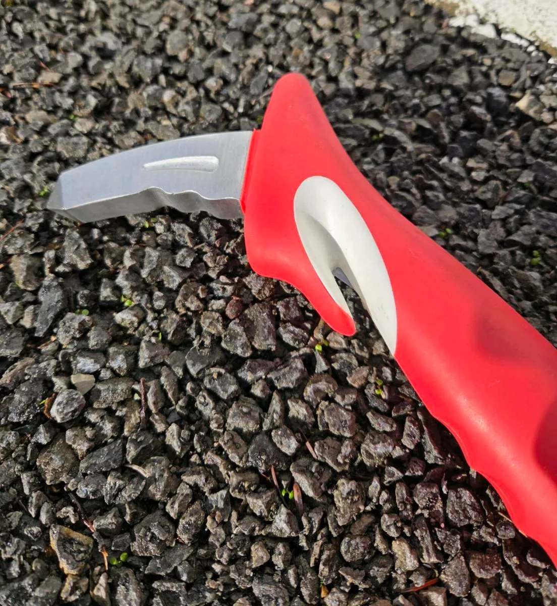 Motoring Accessories - Image 4