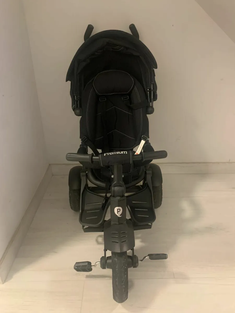 Kids trike - Image 1