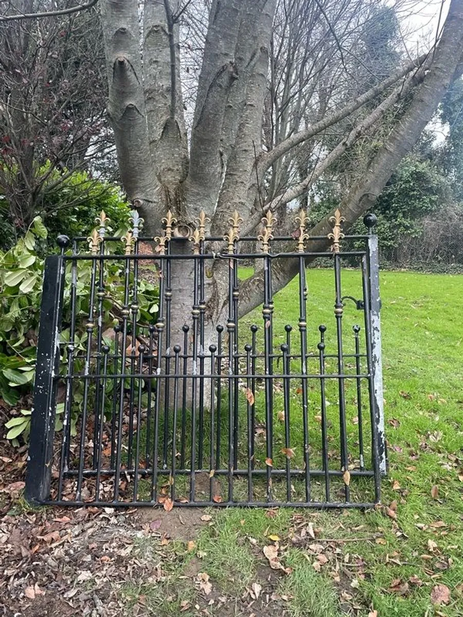 Wrought Iron Black Gates