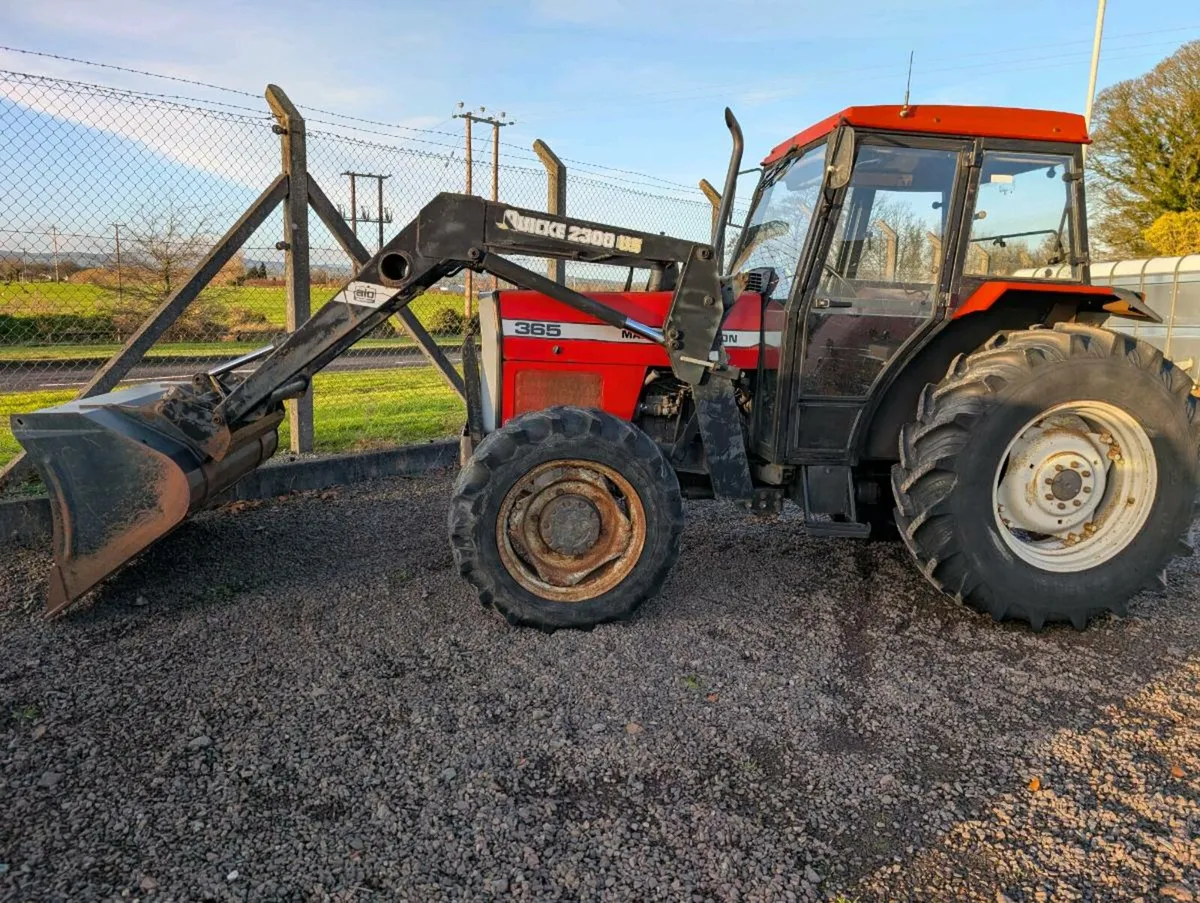 Massey Ferguson 365 4x4 - Image 1