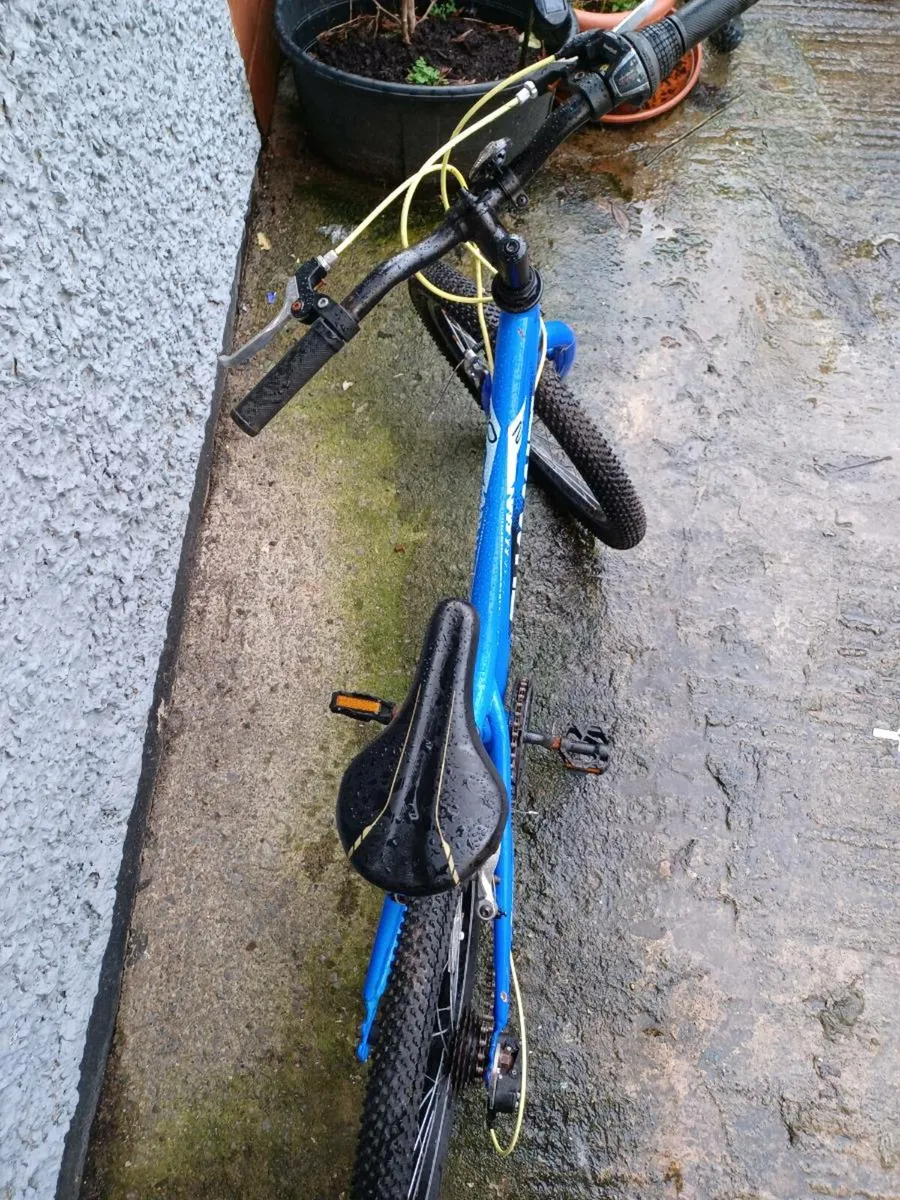 Summit boys bike - Image 3