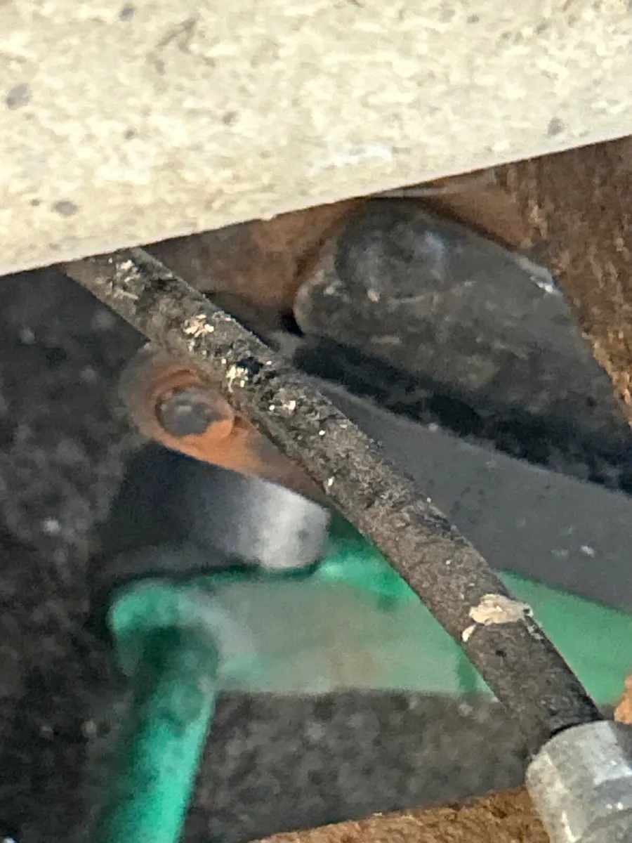 Ifor Williams GD85 canopy covered in trailer - Image 2