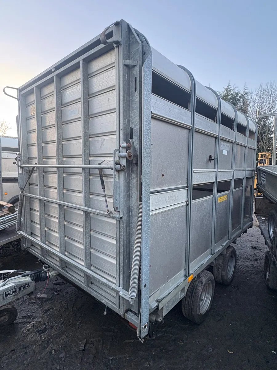 Ifor Williams 10ft cattle trailer - Image 2