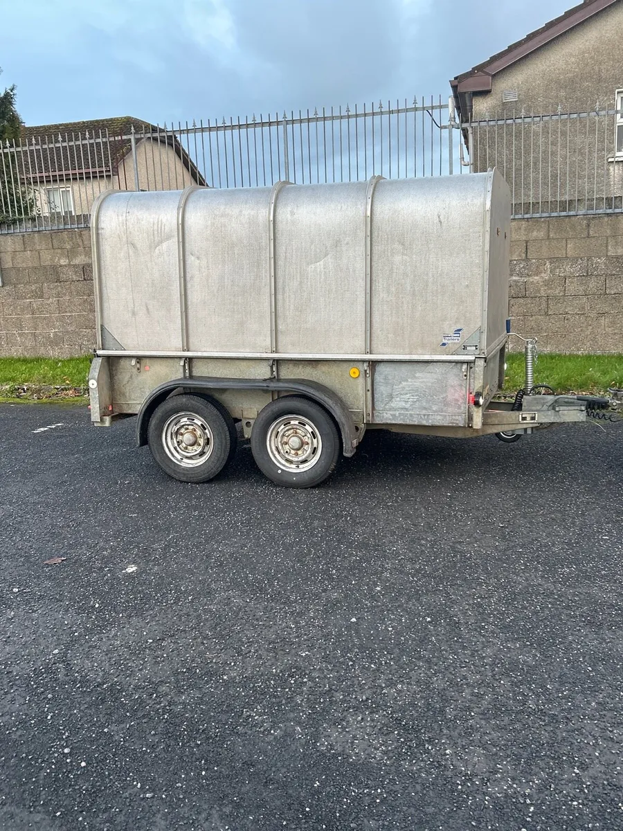 Ifor Williams GD85 canopy covered in trailer - Image 1