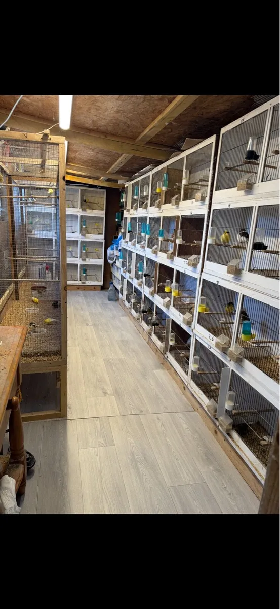 Breeding Cages - Image 1