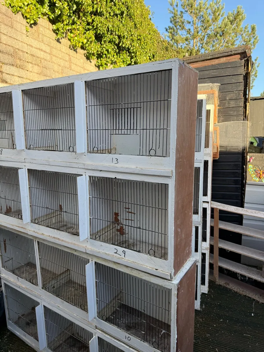 Breeding Cages - Image 2