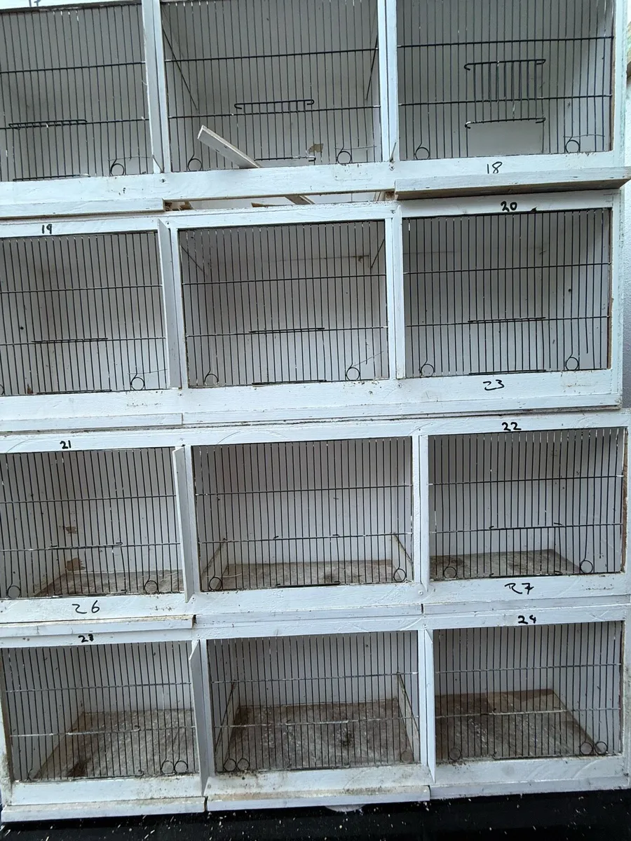 Breeding Cages - Image 3