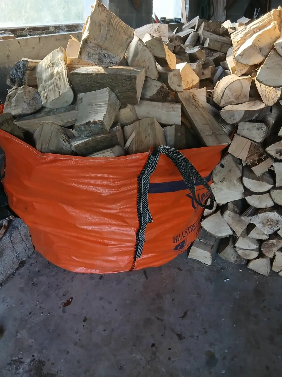 Timber firewood - Image 1