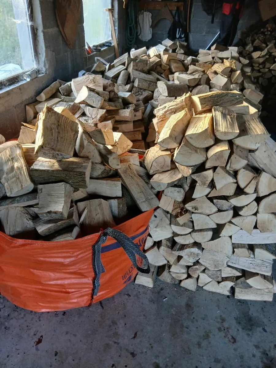 Timber firewood - Image 2