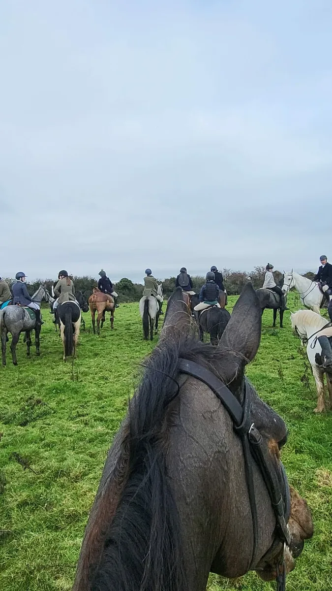 ** Magic ** - Image 4