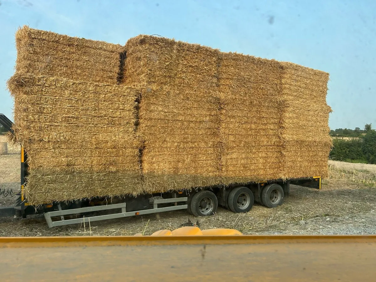 Wheaten straw 8x4x4 - Image 1