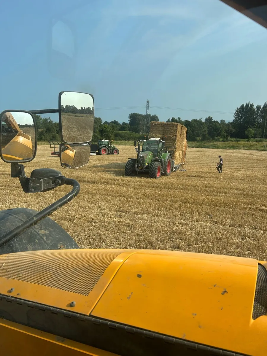 Wheaten straw 8x4x4 - Image 2