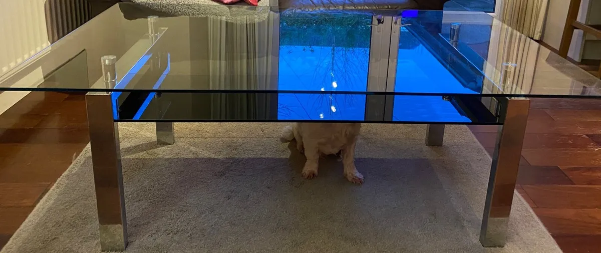 Coffee table - Image 1