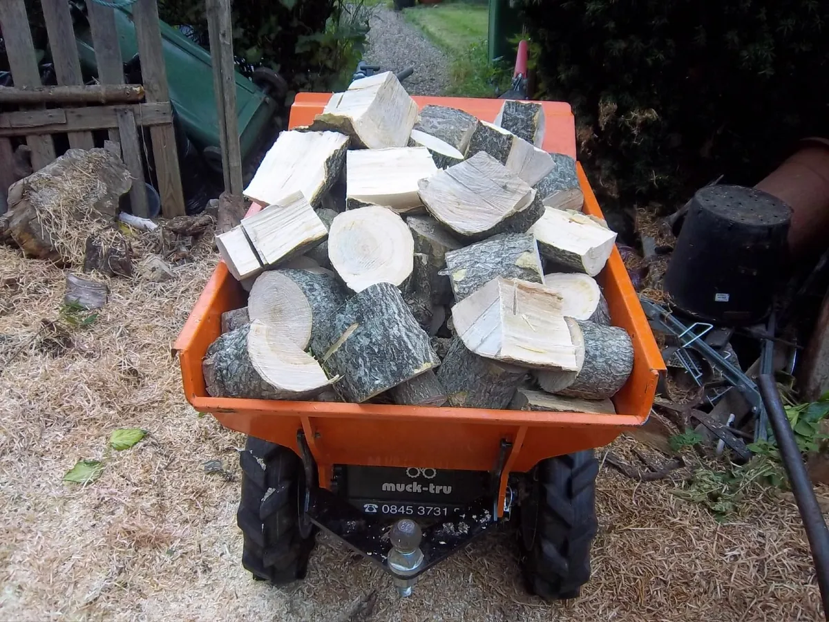 FIREWOOD - Image 1