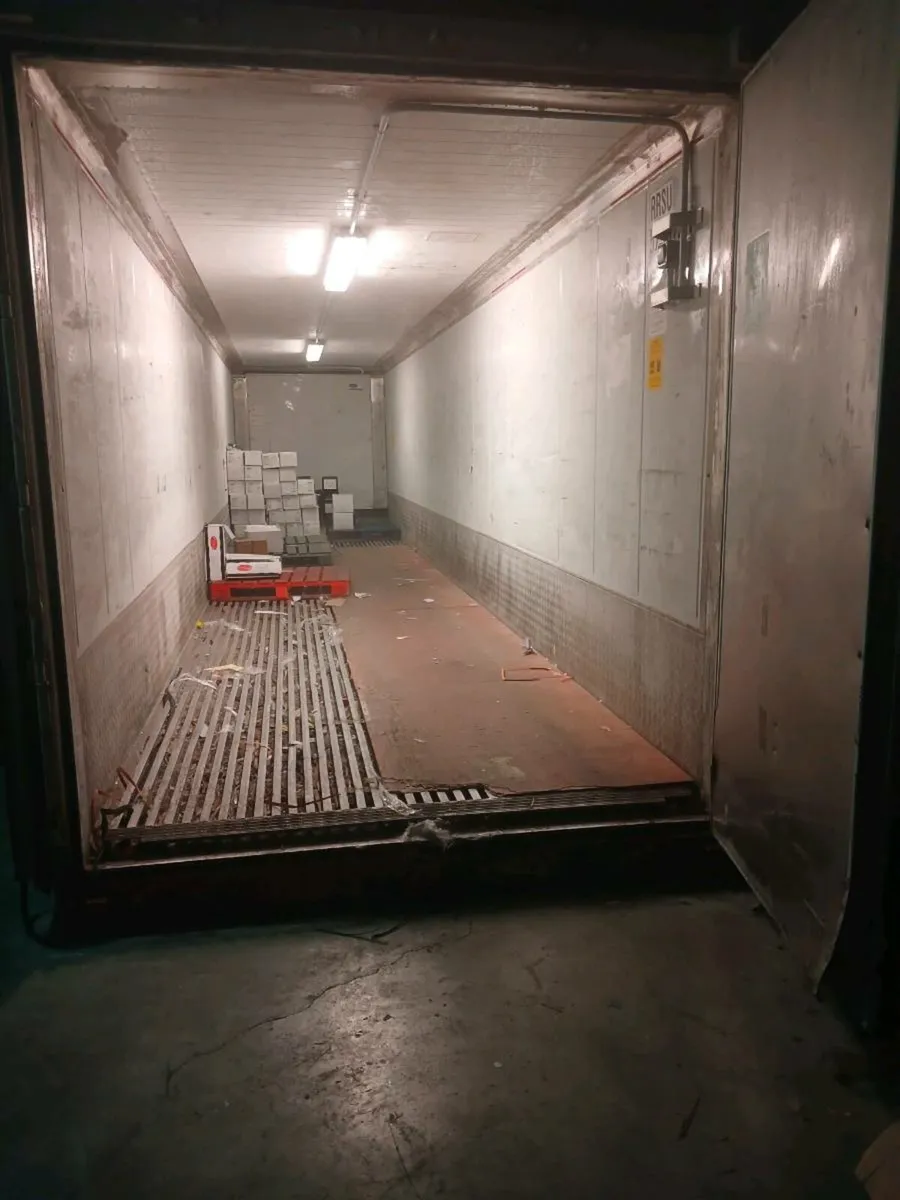 Freezer  container plug in - Image 2