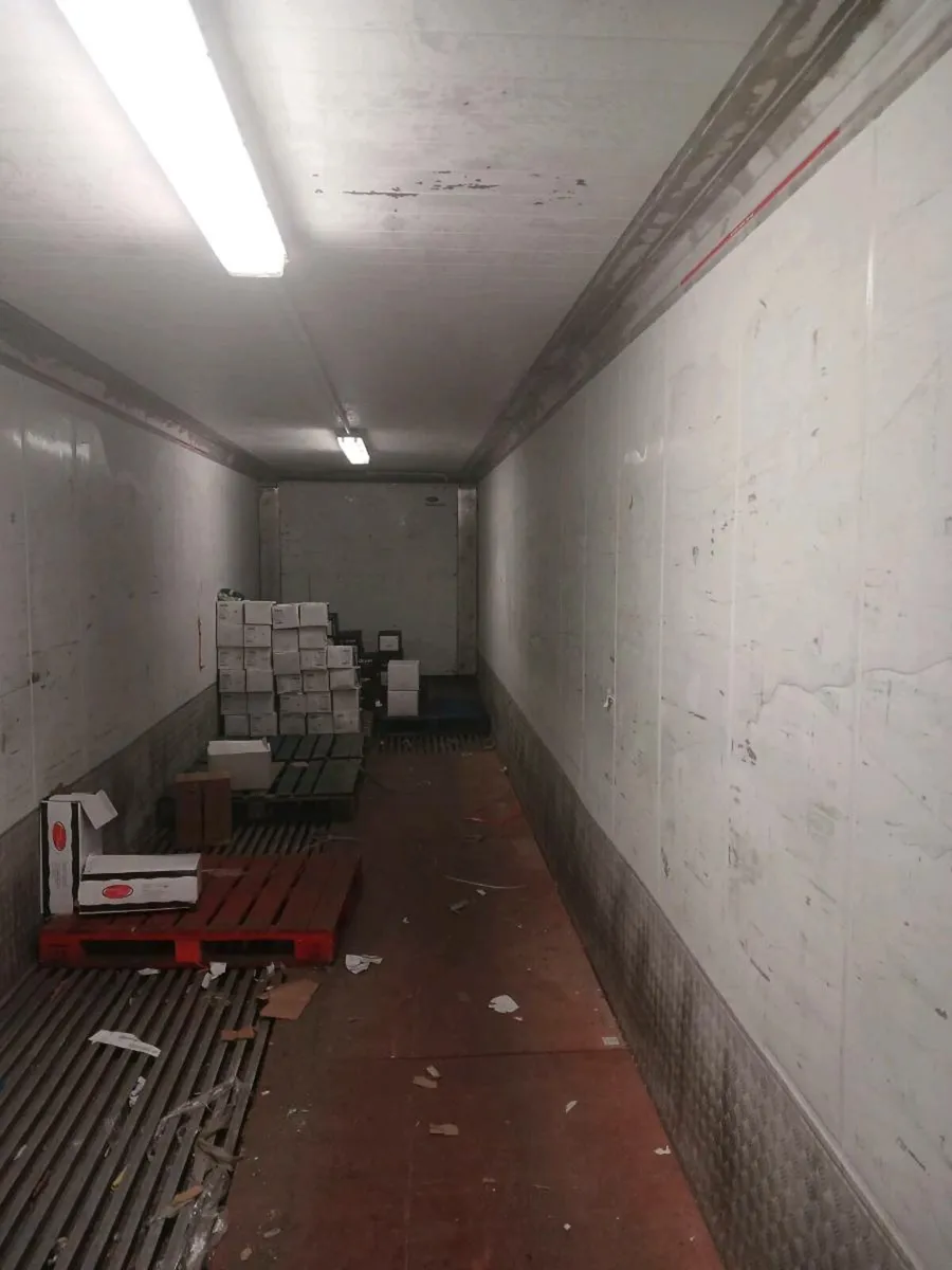 Freezer  container plug in - Image 4